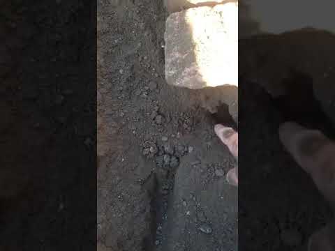 Strange noise comming from grave in Iran