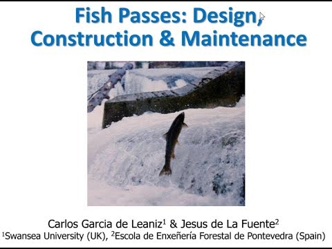 Restoring river continuity Webinar: Fish passes: design, construction & maintenance