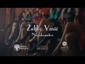 Zeljko Vasic - Na pola metra - (Official Video 2015 ...