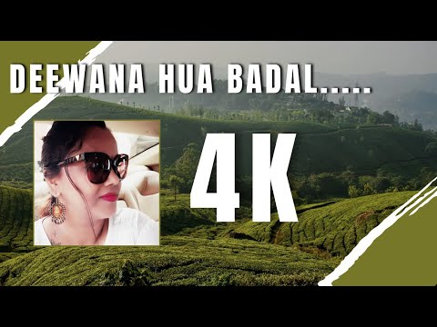 Deewana Hua Badal 4K - Kashmir Ki Kali | Mohammed Rafi | Sharmila Tagore, Shammi Kapoor| Priyology