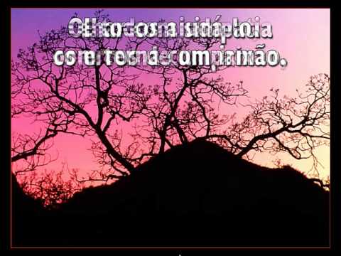 JESUS  Pastor Amado    -   Hino  395