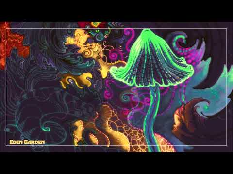 Cosmic Music To Listen While Tripping On Mushrooms