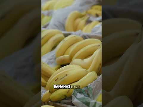 Mind-blowing Facts You Didn't Know About Your Favorite Foods! #food #foodshorts #funfacts #trend