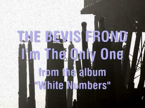 The Bevis Frond - I'm The Only One (White Numbers 3xLP,2013)