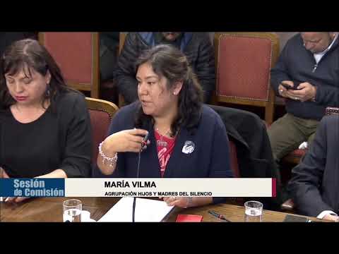 Representant för Chileadoption.se i Comision de Familia