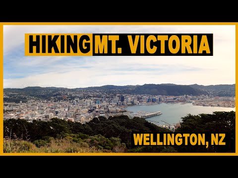 Hiking Mount Victoria, Wellington (Lookout view) | New Zealand Hiking Trails 4K