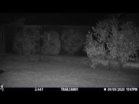 fox cam1 05SEPT2020 1147pm