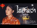 ไสอ้ายว่า MILDSA PAWEENA Cover Version