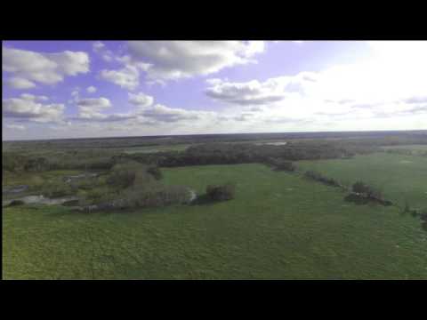 C.E. Muegge Real Estate YouTube video thumbnail 6