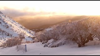 I Want to be There