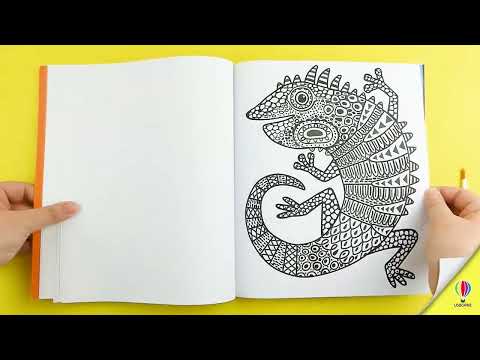 Книга Magic Painting Book video 1