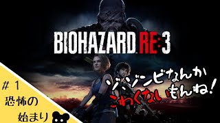 【ホラー】ほぼ初心者がいく「バイオハザードRE3」【ゲーム実況】
