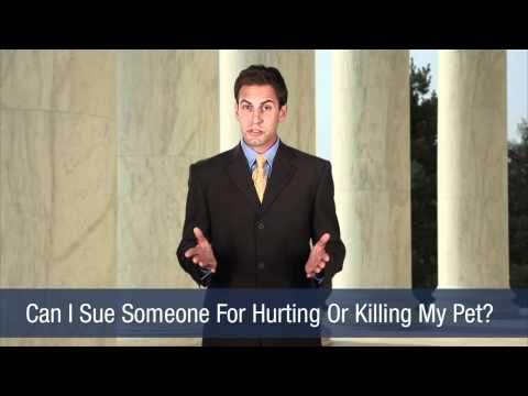 YouTube video about: Can you sue someone for running over your dog?