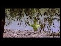 Pacha Dhaname Pachadaname Telugu Song Saki Movie Songs Shalini Madhavan Telugu Video Songs