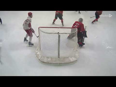 Ligue Magnus : Chamonix Vs Briançon - les buts - 31 janvier 2025