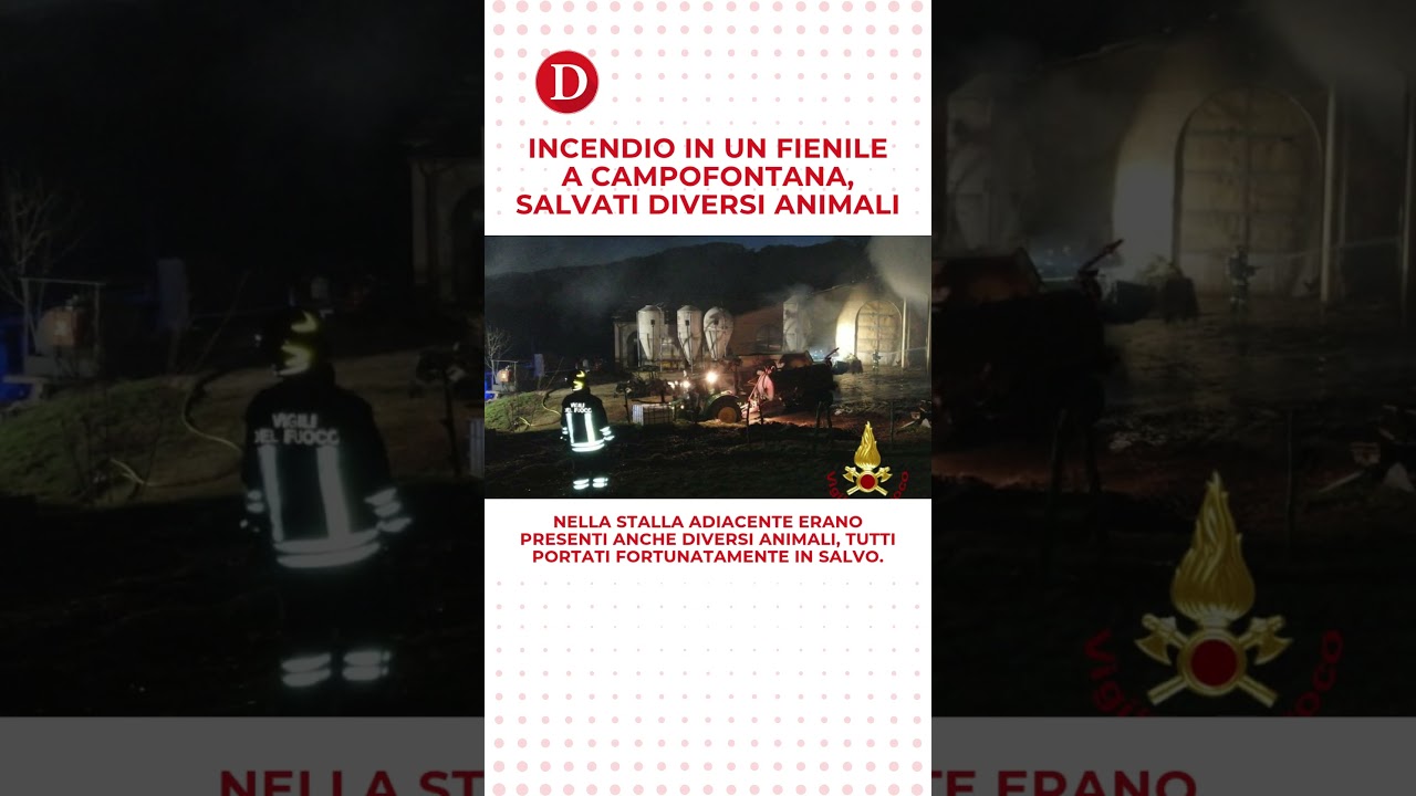 Descrizione dell'immagine