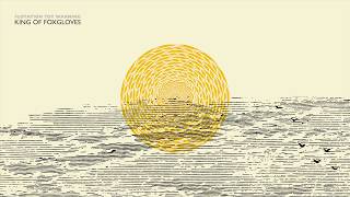 Flotation Toy Warning - King Of Foxgloves [OFFICIAL AUDIO]