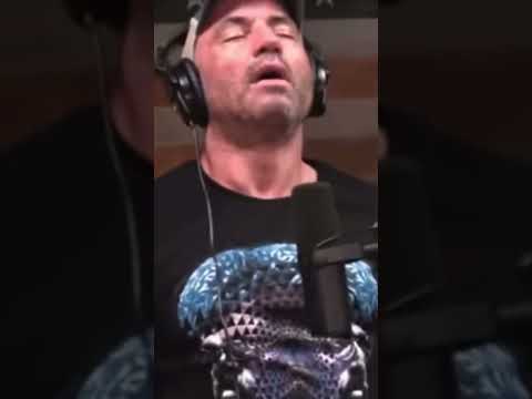 Joe Rogan Experience DMT And Its Awesomeness.