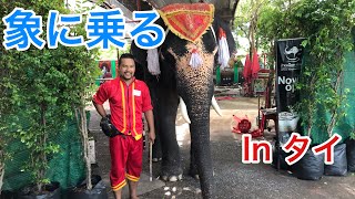 象に乗ってみた【タイ旅行】