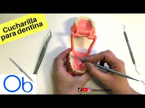 Cucharilla para dentina