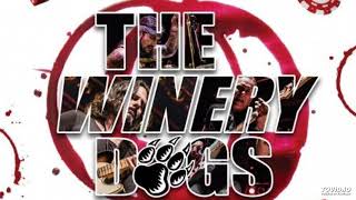The Winery Dogs - Solid Ground