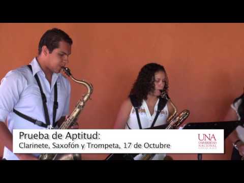 Pruebas de Aptitud CIDEA UNA 2017