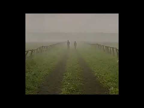 年代 - twilight years