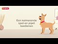 Beaphar Kalmerende Spot On - Hond