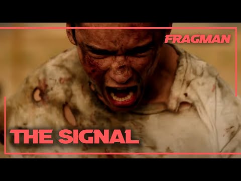 The Signal Fragman