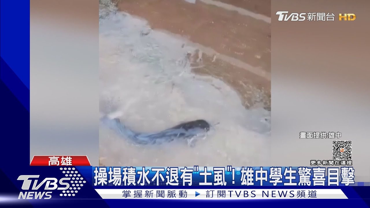 風雨擾南　台灣遊客搭　東琉線變海盜船雄中操場現｢土虱｣