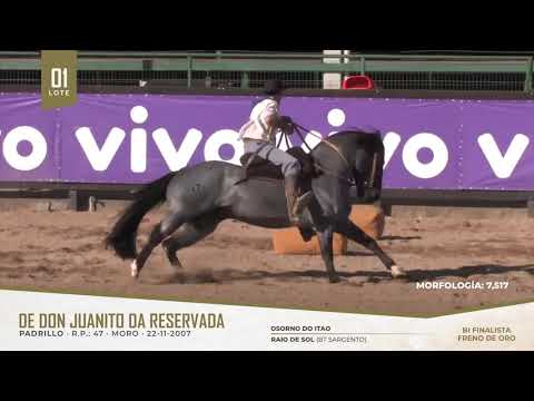 Lote 1 - Don Juanito da Reservada