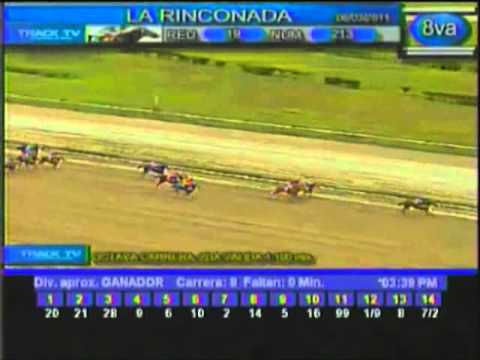 RESUMEN JORNADA DOMINGO 6 MARZO LA RINCONADA