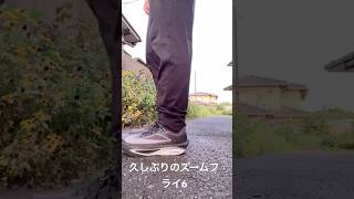 久しぶりにズームフライ6を履いた