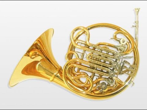 French Horn Magazine - warm-up & daily technique with Angelo Bonaccorso