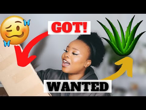 YouTube video about: Where to buy aloe vera plant in dubai?
