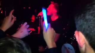 The Vigo Thieves - Steal Your Heart