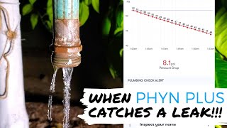 What Happens When PHYN PLUS Detects a CRITICAL Leak! [Demo Phyn Leak Notifications & Water Shutoff]