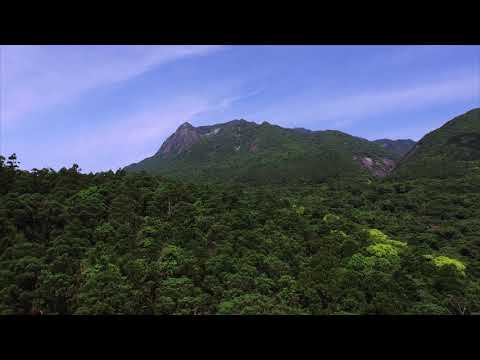 屋久島 トローキの滝