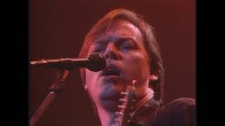 DAVID GILMOUR - Until we sleep