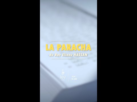 Paracha Vaera – Quand la délivrance n’arrive pas comme on l’attend | Rav Hassan
