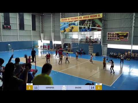 CLASIFICATORIO SUDAMERICANO | DUCKS VS COYOTES U -14 F