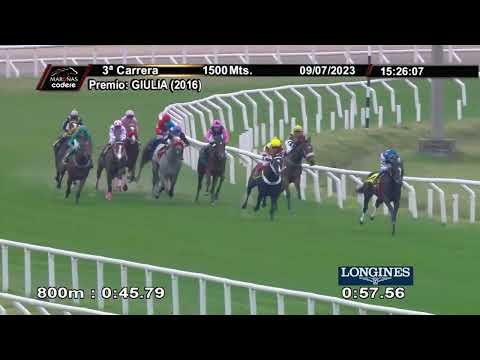 230709 c03 MASTER OF PUPPETS (BRZ)