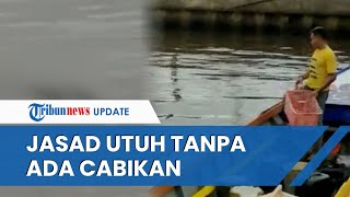 Fakta Buaya Antar Jasad Bocah yang Tenggelam, Korban Sempat Hilang hingga Jasad Ditemukan Utuh