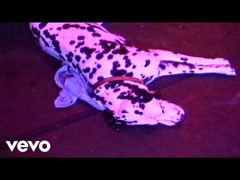 Videoclip de Work That We Do (Live At The Palace/1995) — Sublime