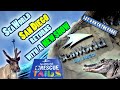 0036 SeaWorld Returns With A New Show