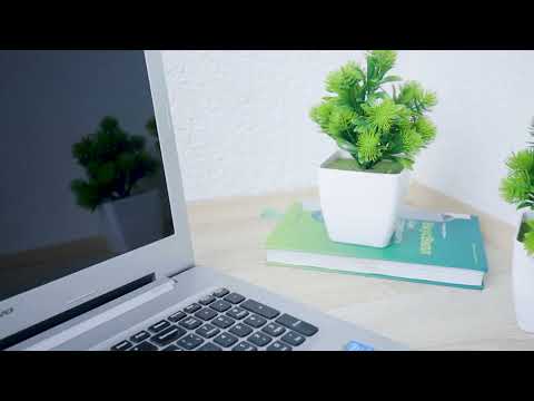 Green Line Studio — xl.webp