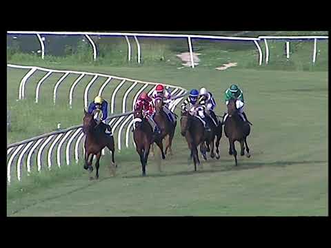 Napoli Galoppo 25/06/2021 - 3ª corsa