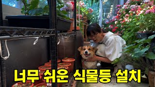 세상에서 가장 설치하기 쉬운 식물등