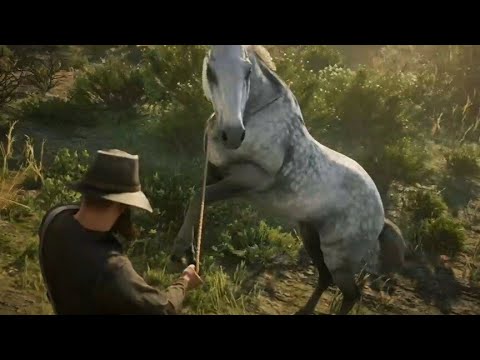 DOMANDO O PURO-SANGUE INGLÊS - Red Dead Redemption 2