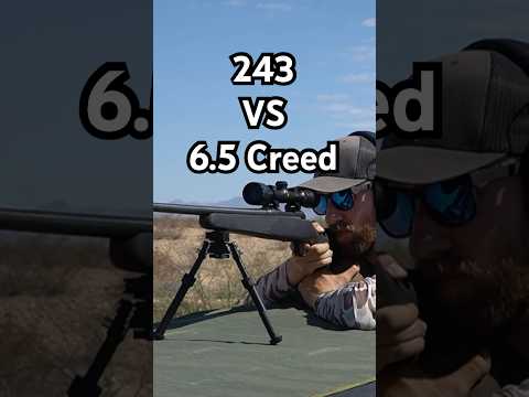 243 VS 6.5 Creedmoor - Which Should You Hunt With? #huntingrifles #deerhunting #hunting